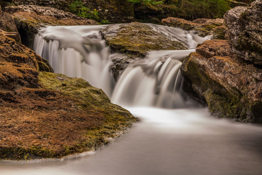 "Birks of Aberfeldy" von michelglobal