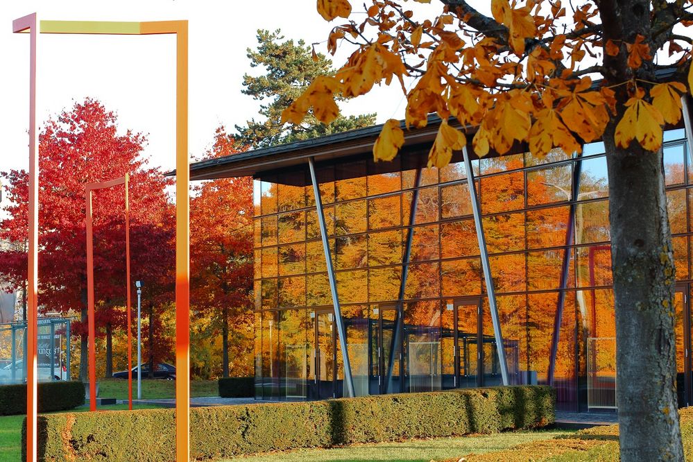 Goldener Herbst in Villingen von MakroStepf