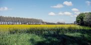 Printemps dans les Alpilles  by dominati simone