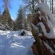 Winterlandschaft auf der Alb mit viel Schnee