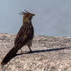 BA Reserva Ecológica "Stolzer Irokese"