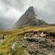 Mackinnon Pass- Milford Track