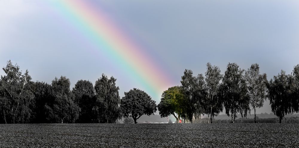 Lichtblick von Rainer Munzert