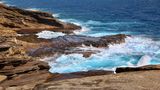 Lanai Lookout von Pat Forester