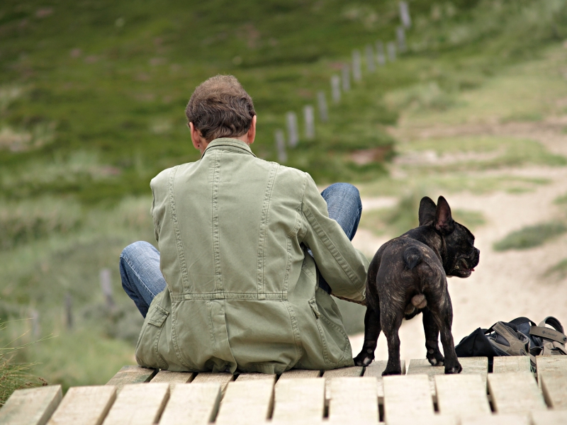 Baakdeel Hundestrand