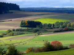 Baarlandschaft