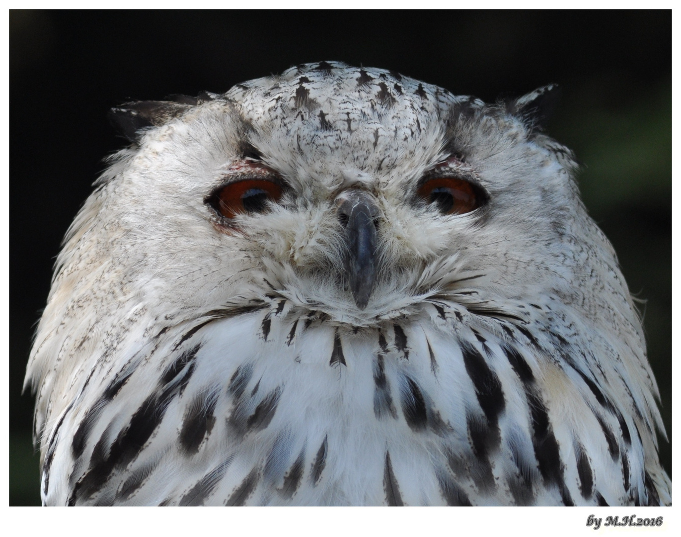 Baba.....im Wildtierpark Poing