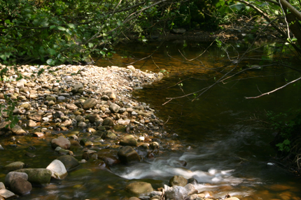 Babbling Brook