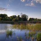 Babelsberger Garten