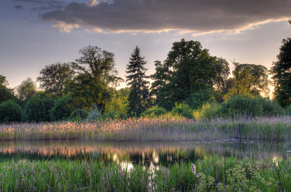 Babelsberger Garten 3