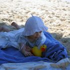 Babies allein am Strand