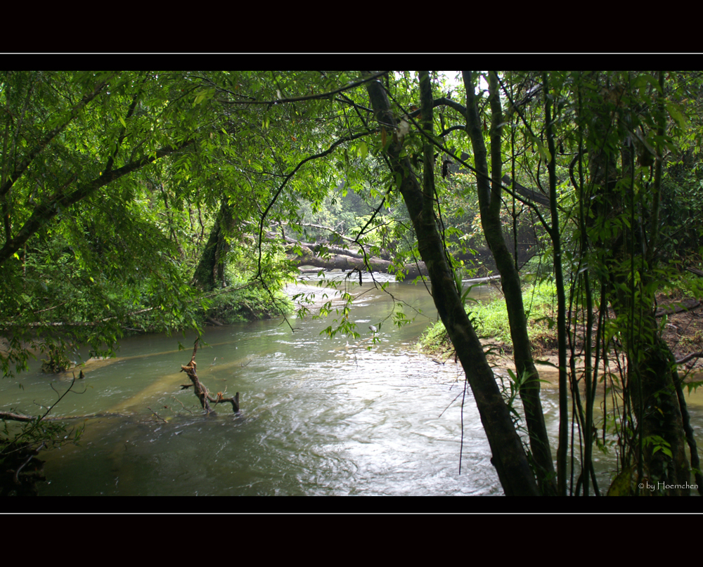 Babinda Creek