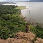 baboon cliff