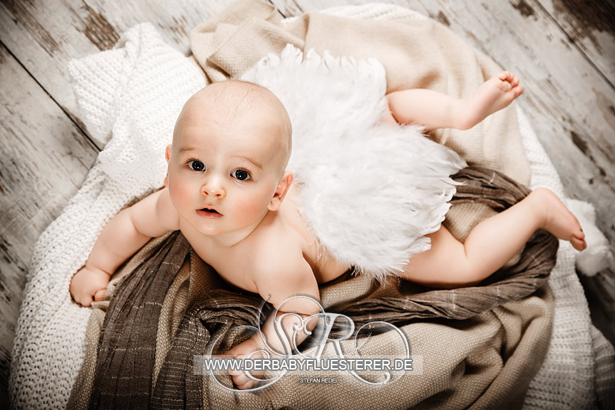 Baby Alexander, 6 Monate, | (Babyfotograf Stuttgart)