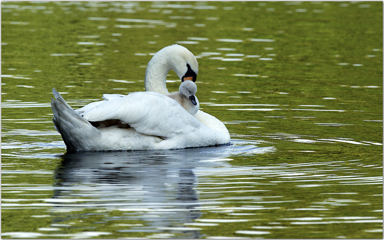 Baby an Bord