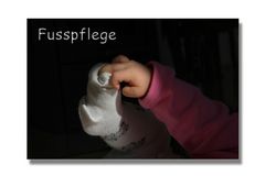 Baby - Fusspflege