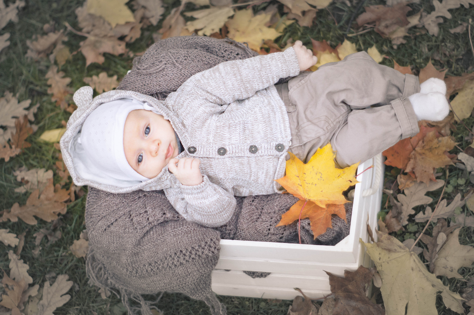 Baby im goldenen Herbst