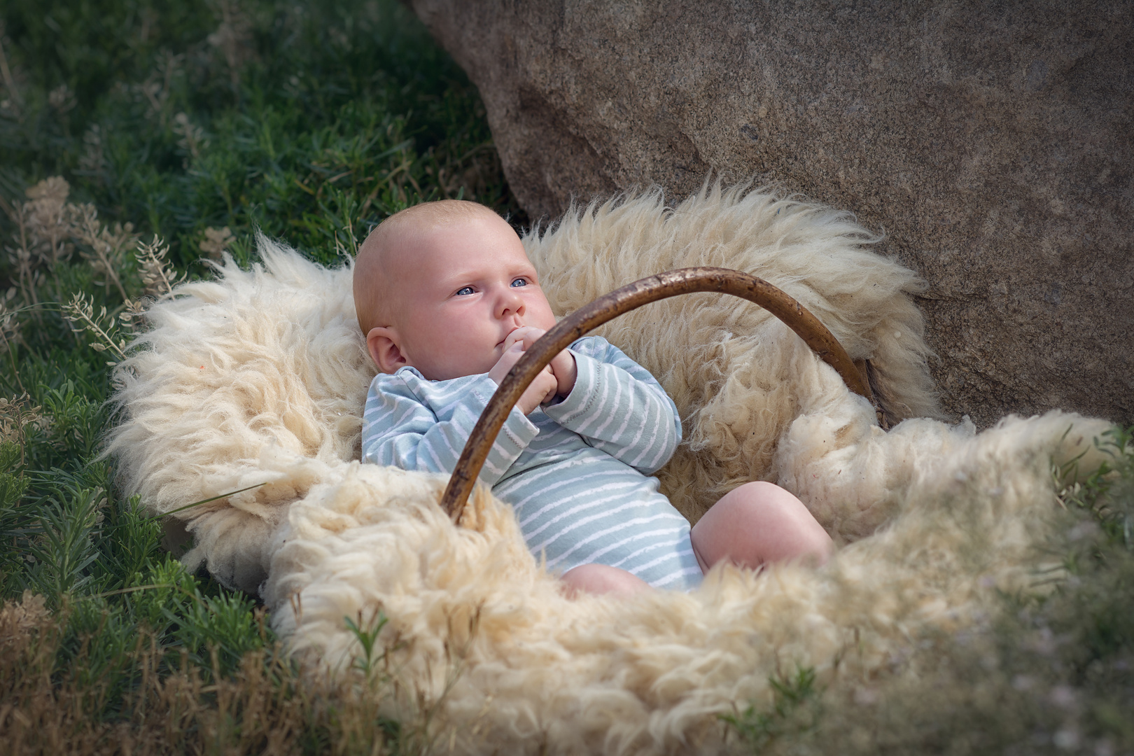 ...Baby im Körbchen...