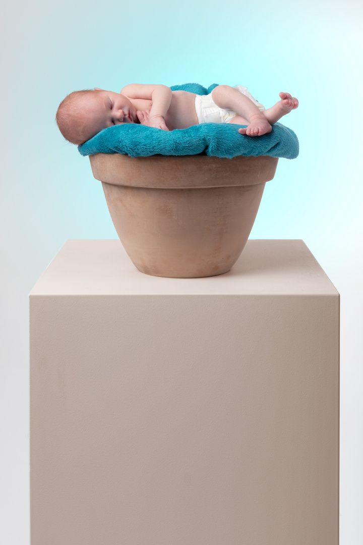 baby in a pot