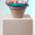 baby in a pot