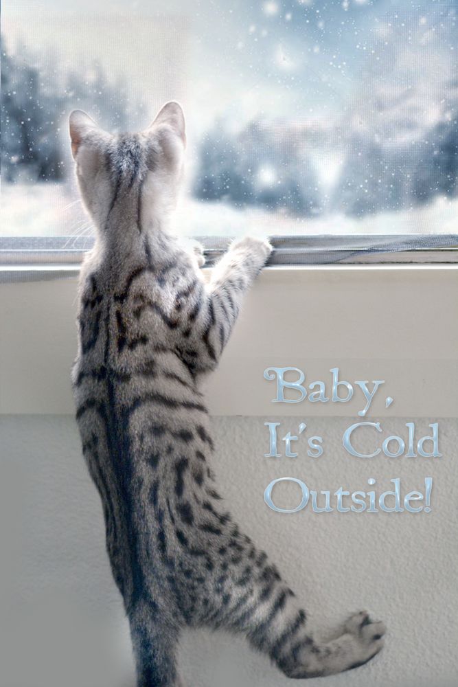 baby its cold outside