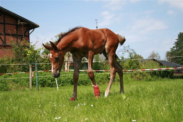 Baby Klara