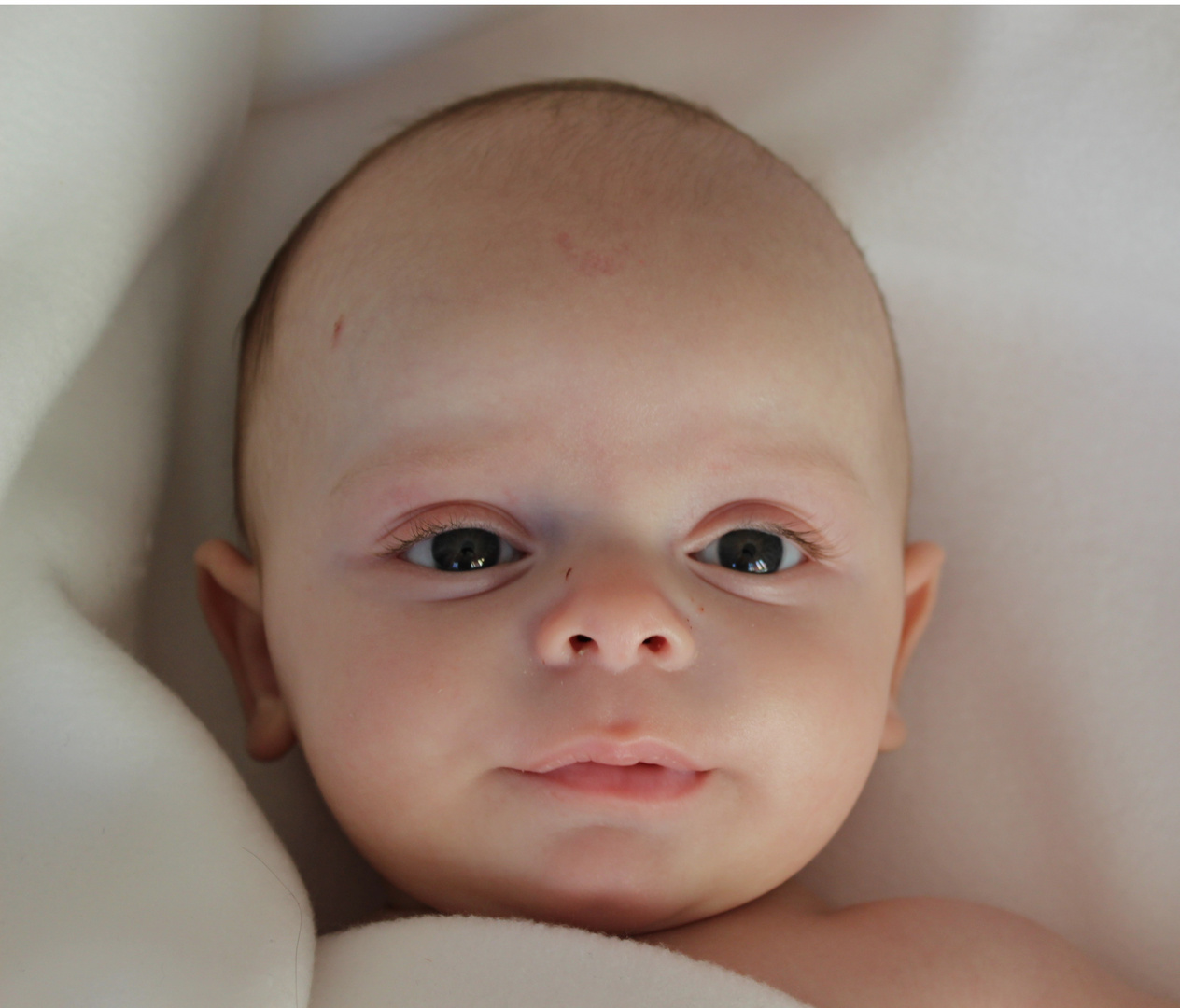 Baby Leonard Aus Munchen Foto Bild Kinder Babies Babyfotografie Bilder Auf Fotocommunity