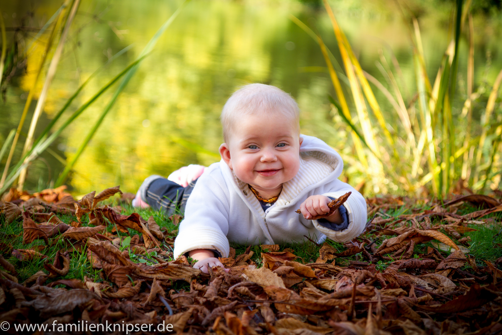 Baby, Natur, Lächeln, Portrait, Leben