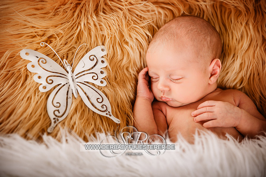 Baby Nelio, Bruder Marlo | (Babyfotograf Düsseldorf)