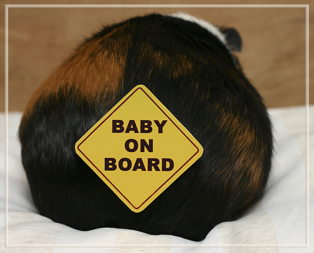 Baby on Board