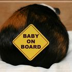 Baby on Board