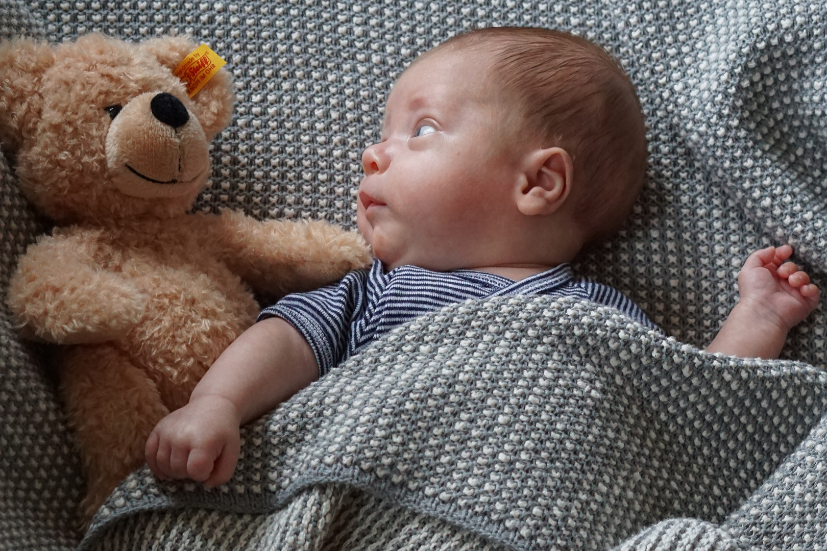 Baby und Bär