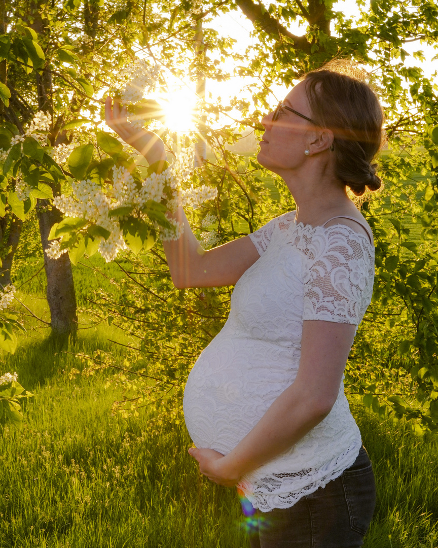 Babybauch-Fotoshooting  