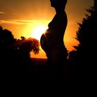 Babybauch im Sonnenuntergang