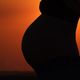 Babybauch im Sonnenuntergang