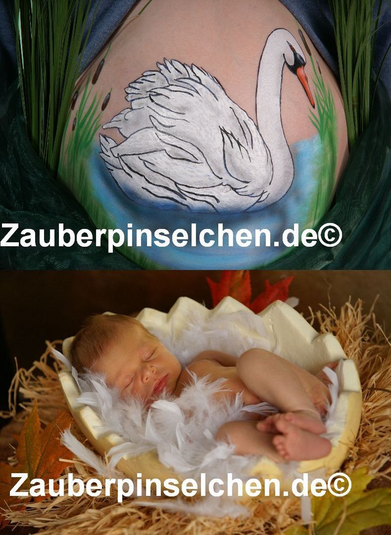 Babybauch Schwan