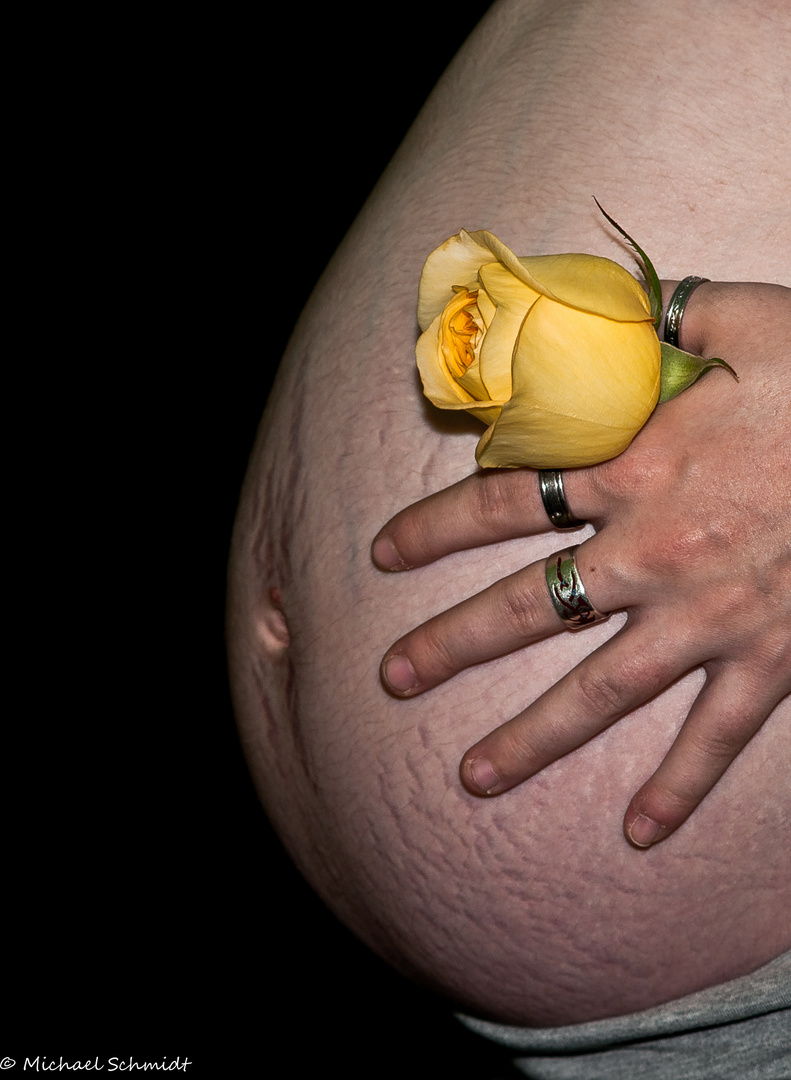 Babybauch Woche 28 mit Rose