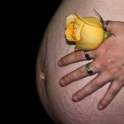Babybauch Woche 28 mit Rose