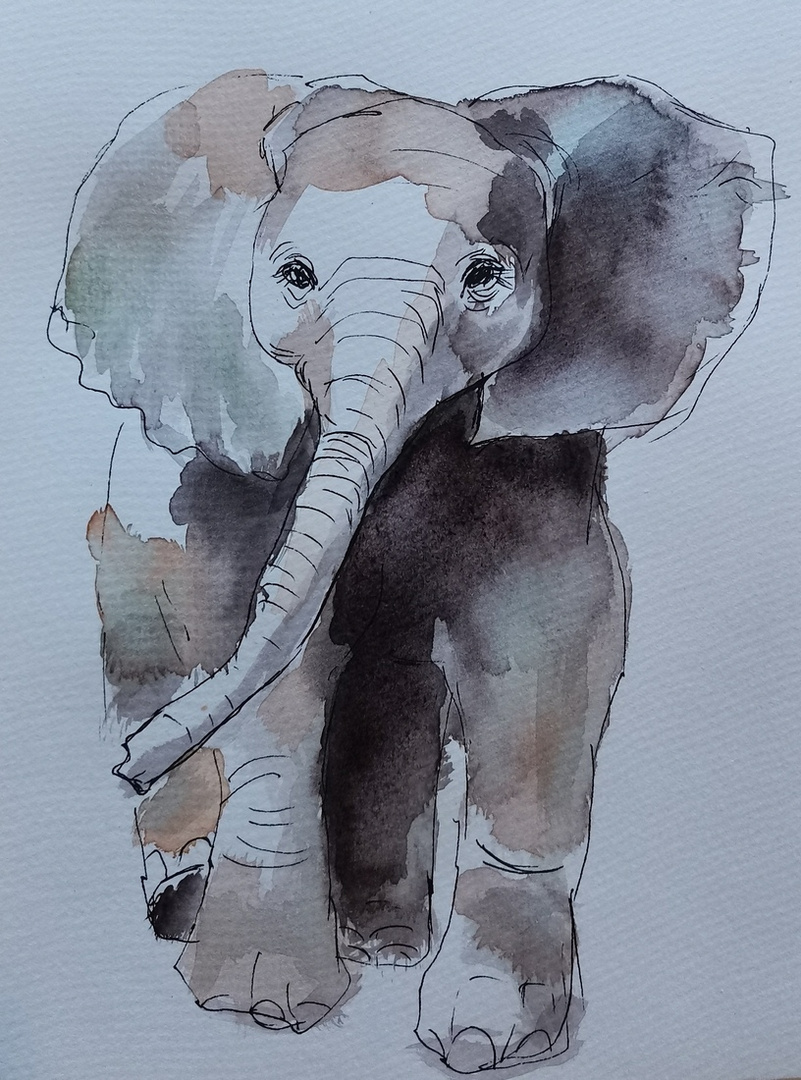 Babyelefant in Aquarell und Stift