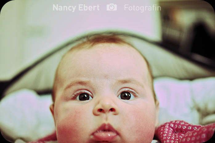 Babyfoto "Neugierige Augen"