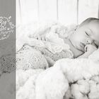 babyfotograf Babyfotos Familienfotograf Fotograf http://www.Baystudios.ch