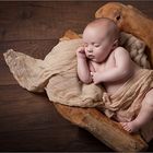 Babyfotografie Düsseldorf Babyfotos