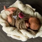 Babyfotografie July 5 Tage alt