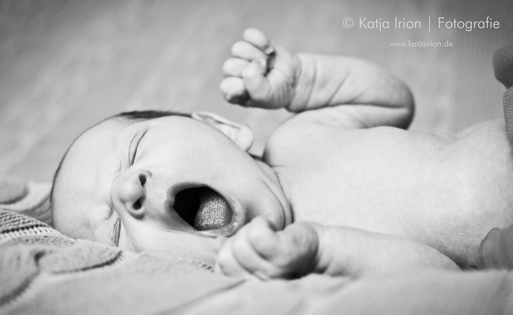 Babyfotos | Köln