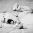 Babyfotos | Köln