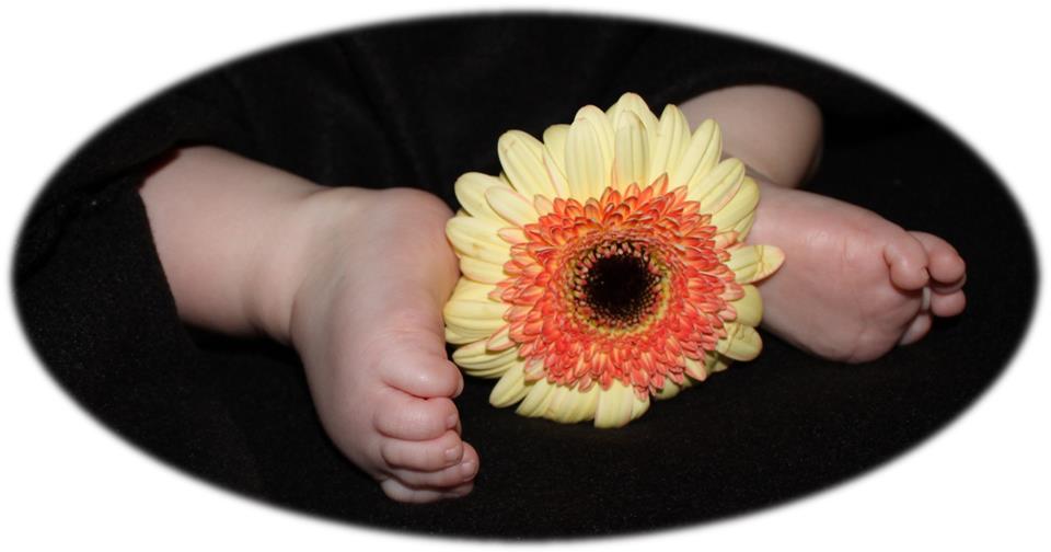 Babyfuss mit Blumengruss