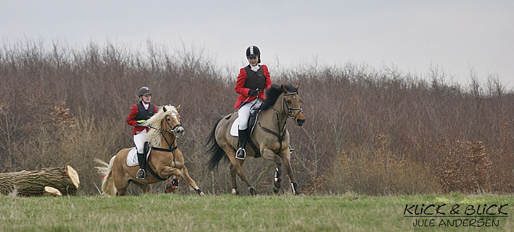 Babyjagd Dänemark