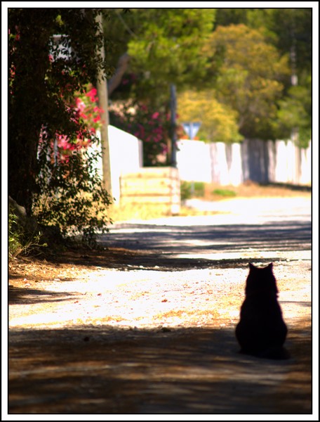 Babylone attendant son prince chat-rmant..... ;)