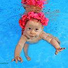 Babyschwimmen - Eilenburg - Oschatz