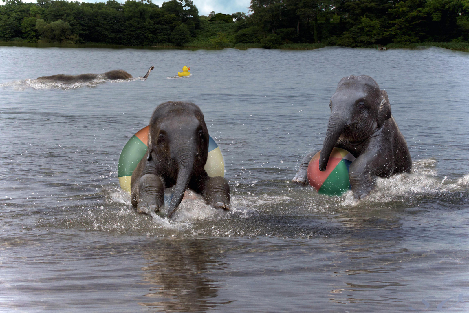 Babyschwimmen und Schnorchelkurs